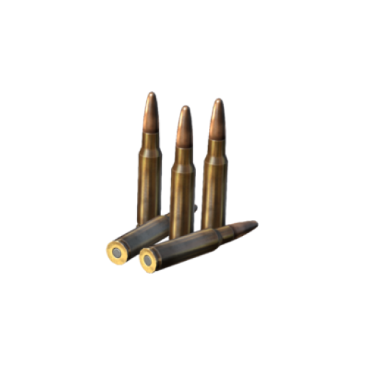 Ammo_308Win