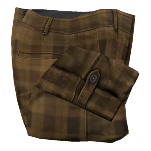 Breeches_Browncheck