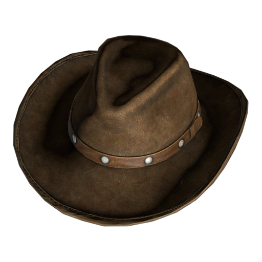 CowboyHat_darkBrown