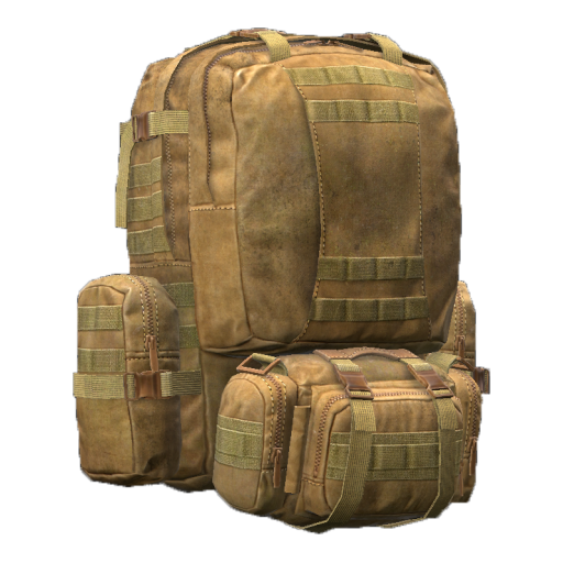 CoyoteBag_Brown