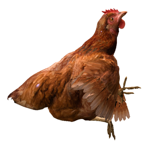DeadChicken_Brown