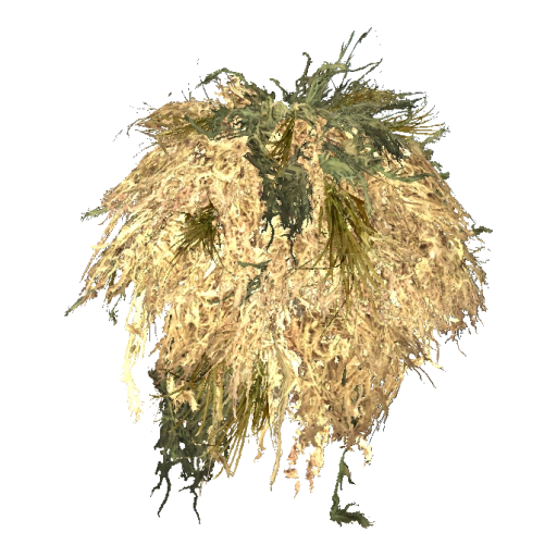 GhillieBushrag_Tan