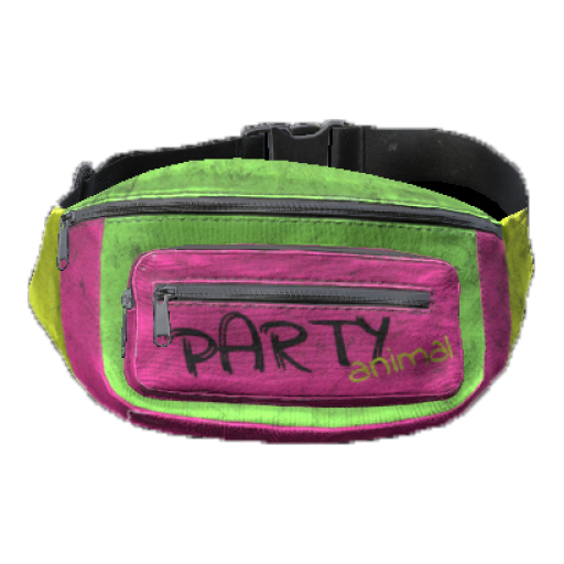 HipPack_Party