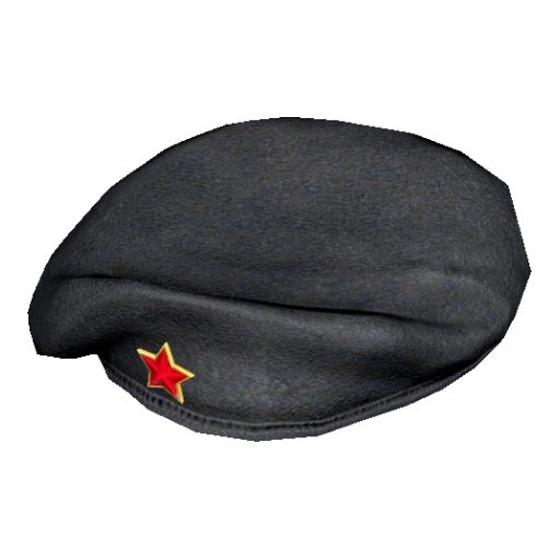 MilitaryBeret_ChDKZ