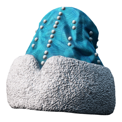 MorozkoHat