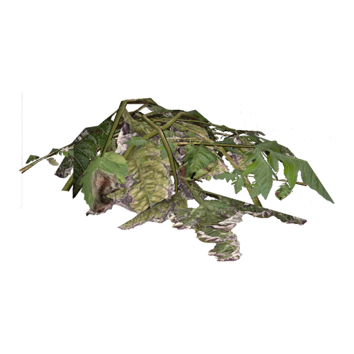 PlantMaterial