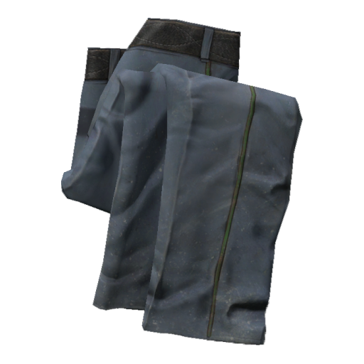 PolicePants